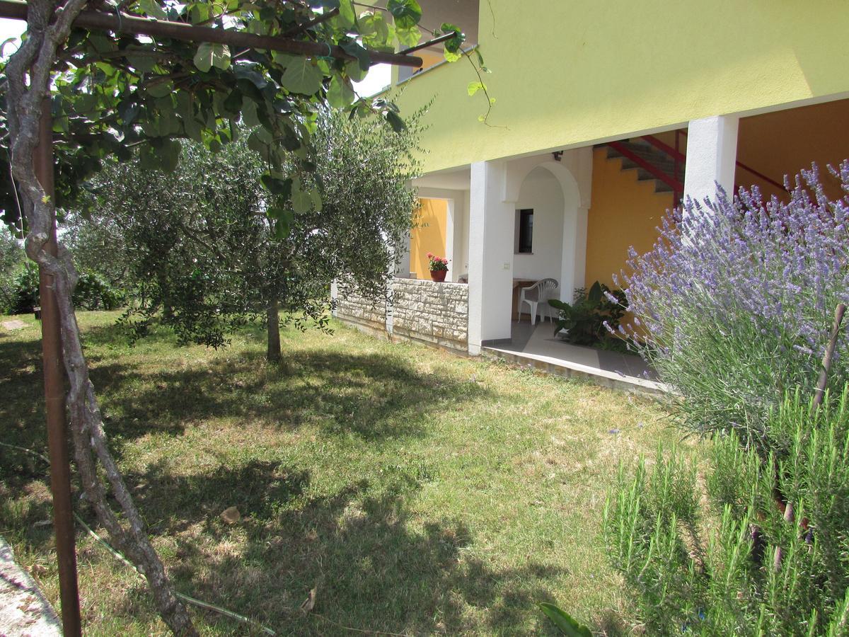 Apartments Goga Umag Ngoại thất bức ảnh